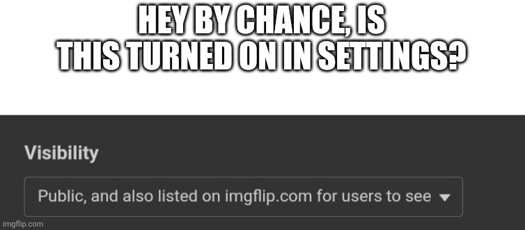 By any chance | HEY BY CHANCE, IS THIS TURNED ON IN SETTINGS? | image tagged in memes | made w/ Imgflip meme maker