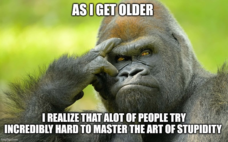 gorilla | AS I GET OLDER; I REALIZE THAT ALOT OF PEOPLE TRY INCREDIBLY HARD TO MASTER THE ART OF STUPIDITY | image tagged in stupidity | made w/ Imgflip meme maker