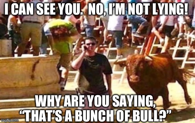 I CAN SEE YOU.  NO, I’M NOT LYING! WHY ARE YOU SAYING, “THAT’S A BUNCH OF BULL?” | image tagged in movies,bullshit,iphone,animals,soccer,republicans | made w/ Imgflip meme maker