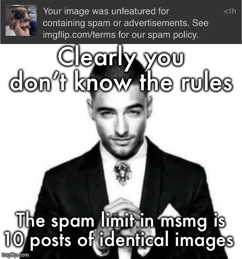 Do better mods | Clearly you don’t know the rules; The spam limit in msmg is 10 posts of identical images | image tagged in nibbers | made w/ Imgflip meme maker