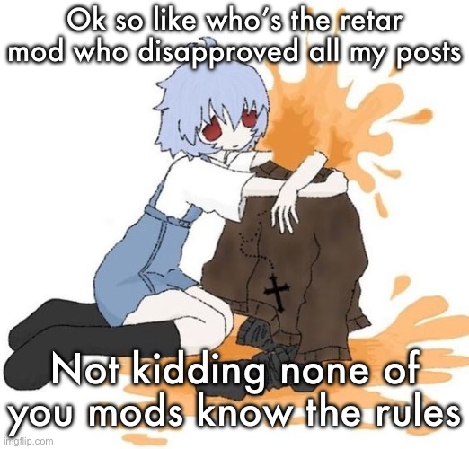 rei | Ok so like who’s the retar mod who disapproved all my posts; Not kidding none of you mods know the rules | image tagged in rei | made w/ Imgflip meme maker