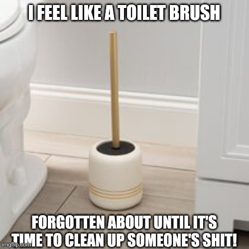 Feel like a toilet brush | I FEEL LIKE A TOILET BRUSH; FORGOTTEN ABOUT UNTIL IT'S TIME TO CLEAN UP SOMEONE'S SHIT! | image tagged in toilet brush,memes,funny | made w/ Imgflip meme maker