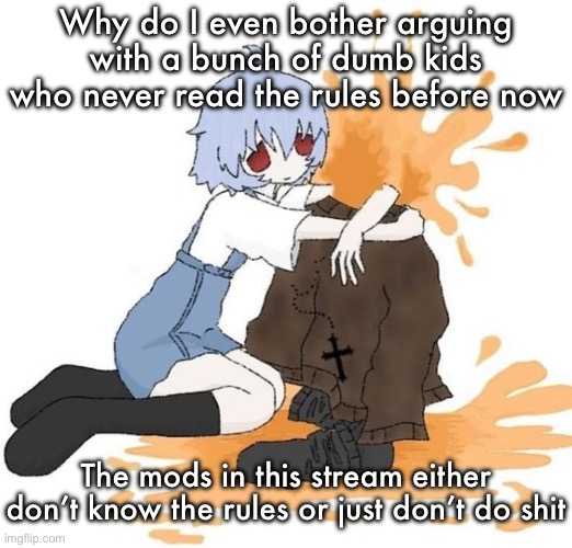 rei | Why do I even bother arguing with a bunch of dumb kids who never read the rules before now; The mods in this stream either don’t know the rules or just don’t do shit | image tagged in rei | made w/ Imgflip meme maker