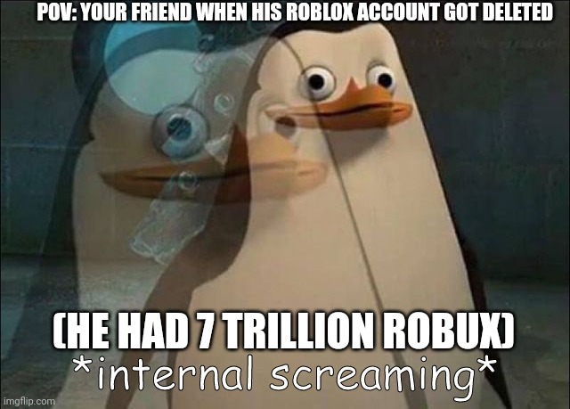Private Internal Screaming | POV: YOUR FRIEND WHEN HIS ROBLOX ACCOUNT GOT DELETED; (HE HAD 7 TRILLION ROBUX) | image tagged in private internal screaming | made w/ Imgflip meme maker