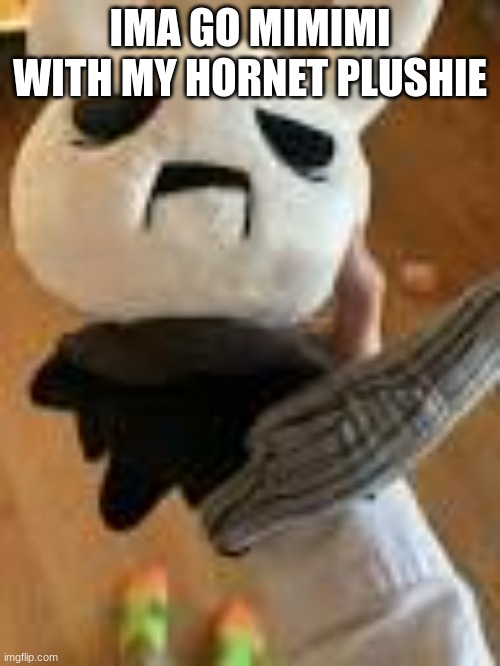 dumb idiot | IMA GO MIMIMI WITH MY HORNET PLUSHIE | image tagged in dumb idiot | made w/ Imgflip meme maker