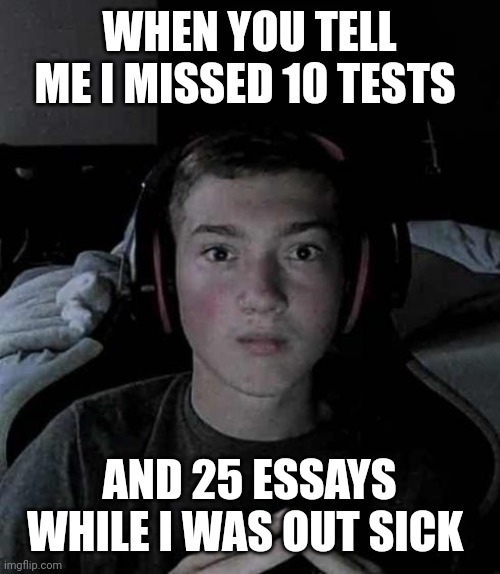 I Missed What..? | WHEN YOU TELL ME I MISSED 10 TESTS; AND 25 ESSAYS WHILE I WAS OUT SICK | image tagged in i missed what- | made w/ Imgflip meme maker
