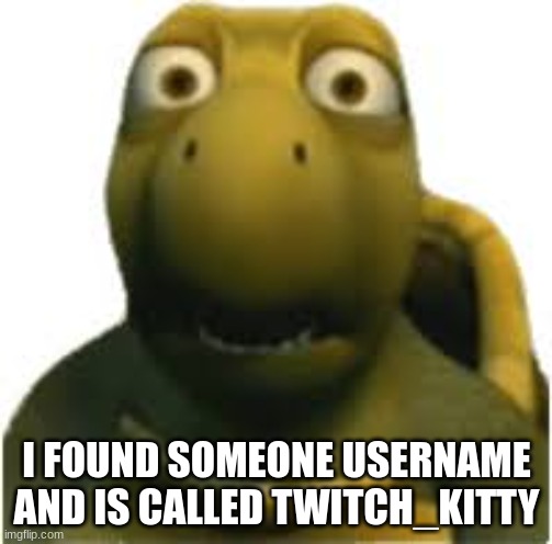 I FOUND SOMEONE USERNAME AND IS CALLED TWITCH_KITTY | image tagged in boi | made w/ Imgflip meme maker