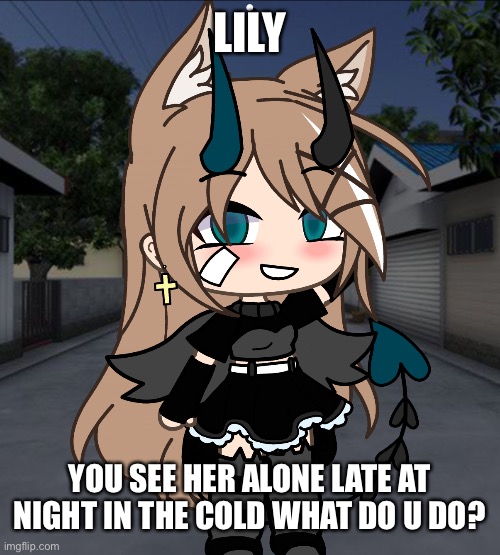 Lilly | LILY; YOU SEE HER ALONE LATE AT NIGHT IN THE COLD WHAT DO U DO? | image tagged in gacha,roleplaying | made w/ Imgflip meme maker