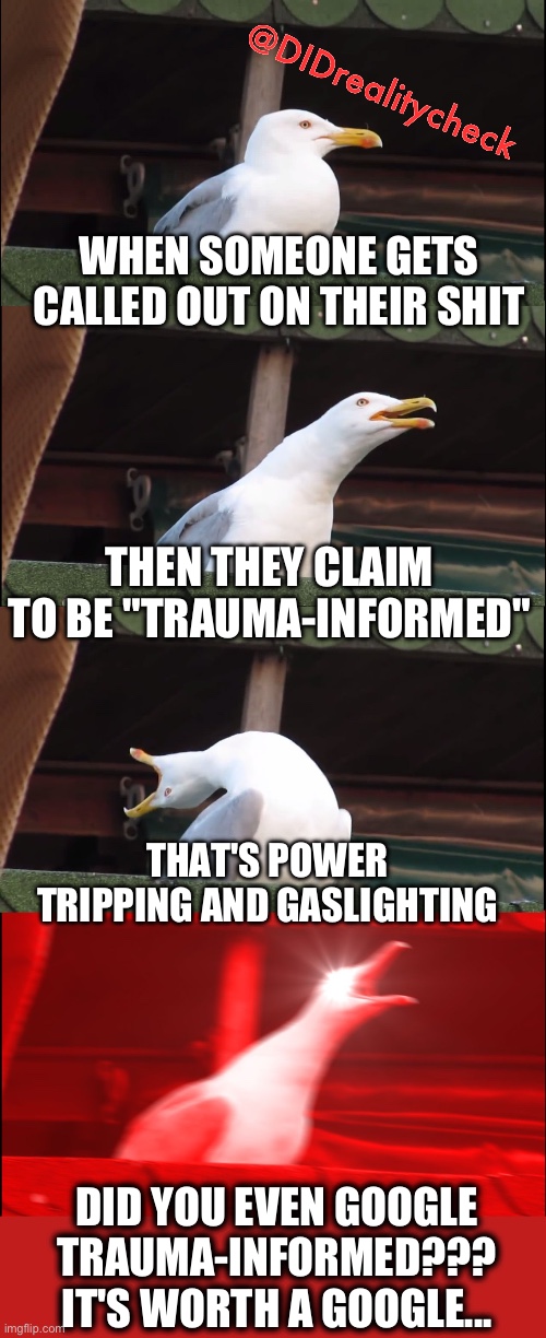 trauma-informed or trauma-denied- gaslighting with them latest buzzword | @DIDrealitycheck; WHEN SOMEONE GETS CALLED OUT ON THEIR SHIT; THEN THEY CLAIM TO BE "TRAUMA-INFORMED"; THAT'S POWER TRIPPING AND GASLIGHTING; DID YOU EVEN GOOGLE TRAUMA-INFORMED??? IT'S WORTH A GOOGLE... | image tagged in inhaling seagull,trauma-informed,gaslighting,denied,trauma,power trip | made w/ Imgflip meme maker