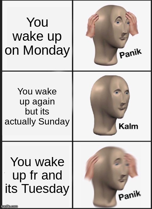 I hate school | You wake up on Monday; You wake up again but its actually Sunday; You wake up fr and its Tuesday | image tagged in memes,panik kalm panik | made w/ Imgflip meme maker