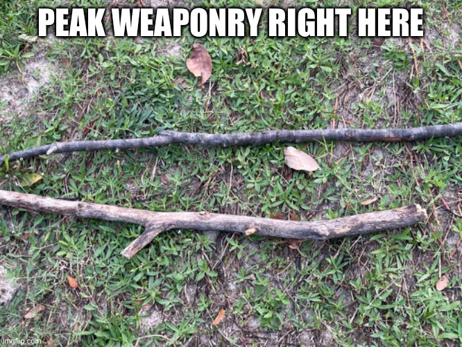 PEAK WEAPONRY RIGHT HERE | image tagged in hrbfbdbdhdbdbdndndbdbdn | made w/ Imgflip meme maker