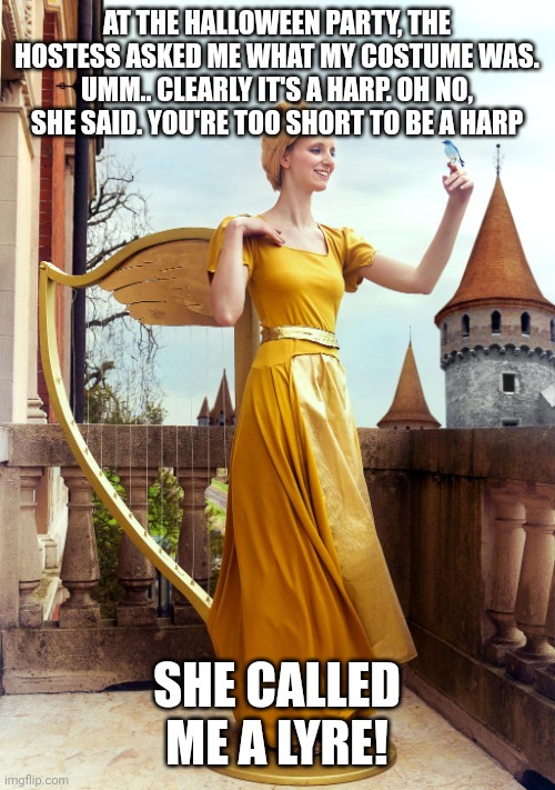 Harp | AT THE HALLOWEEN PARTY, THE HOSTESS ASKED ME WHAT MY COSTUME WAS. UMM.. CLEARLY IT'S A HARP. OH NO, SHE SAID. YOU'RE TOO SHORT TO BE A HARP; SHE CALLED ME A LYRE! | image tagged in harp | made w/ Imgflip meme maker