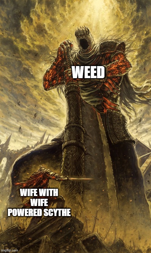 Yhorm Dark Souls | WEED WIFE WITH WIFE POWERED SCYTHE | image tagged in yhorm dark souls | made w/ Imgflip meme maker