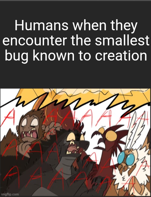 Bros are descending into madness over a tiny bug | Humans when they encounter the smallest bug known to creation | image tagged in godzilla rodan mothra and king kong get scared | made w/ Imgflip meme maker