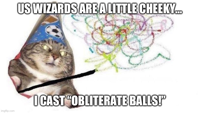 Wizard Cat | US WIZARDS ARE A LITTLE CHEEKY…; I CAST “OBLITERATE BALLS!” | image tagged in wizard cat | made w/ Imgflip meme maker