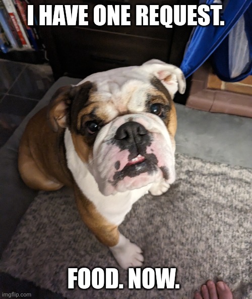 The winnin funny | I HAVE ONE REQUEST. FOOD. NOW. | image tagged in the winnin | made w/ Imgflip meme maker