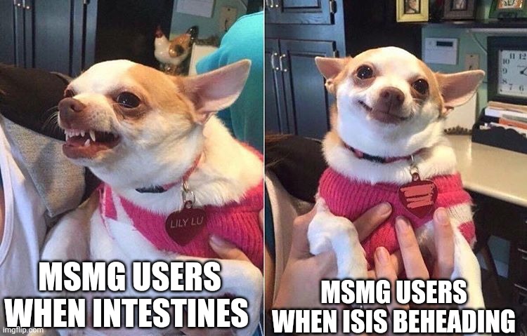 MSMG USERS WHEN INTESTINES MSMG USERS WHEN ISIS BEHEADING | image tagged in angry dog meme | made w/ Imgflip meme maker