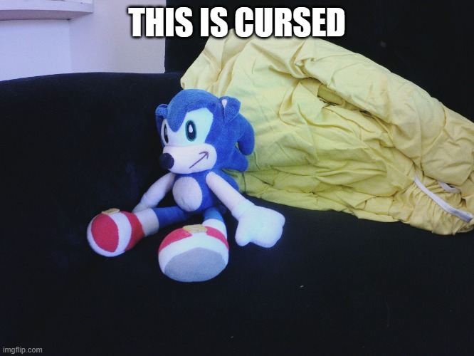 sonic questioning life | THIS IS CURSED | image tagged in sonic questioning life | made w/ Imgflip meme maker