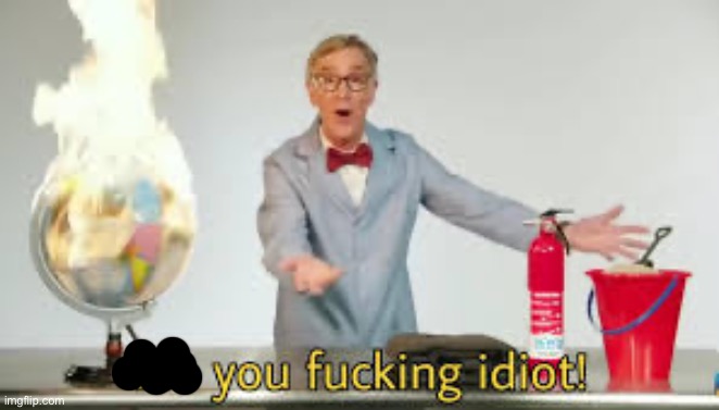 No you fucking idiot | image tagged in no you fucking idiot | made w/ Imgflip meme maker
