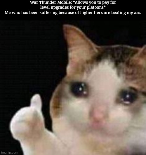 I have dealt with King Tigers.... KING FUCKING TIGERS AT TIER 3-4, THEY'RE TIER 5-6 | War Thunder Mobile: *Allows you to pay for level upgrades for your platoons*
Me who has been suffering because of higher tiers are beating my ass: | image tagged in approved crying cat | made w/ Imgflip meme maker