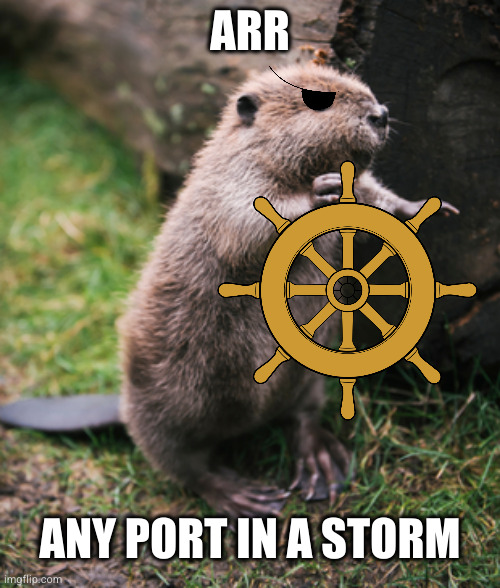 Beaver | ARR ANY PORT IN A STORM | image tagged in beaver | made w/ Imgflip meme maker