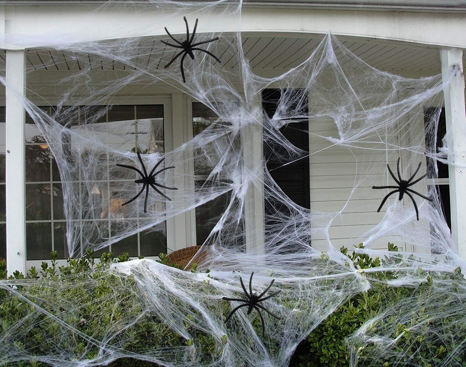 Spider webs Blank Meme Template