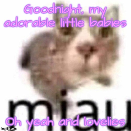 miau | Goodnight, my adorable little babies; Oh yeah and lovelies | image tagged in miau,lovelies | made w/ Imgflip meme maker