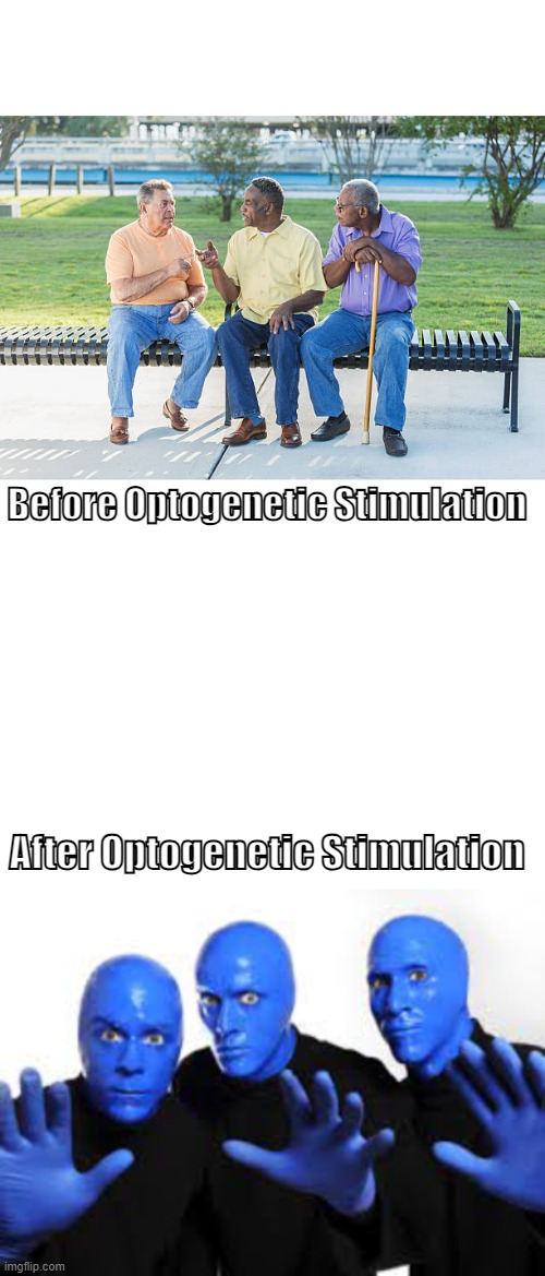 PSY 454 | Before Optogenetic Stimulation; After Optogenetic Stimulation | image tagged in memes | made w/ Imgflip meme maker