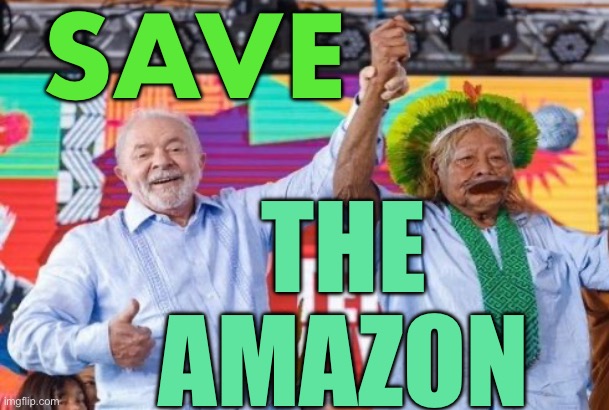 Save The Amazon | SAVE; THE 
AMAZON | image tagged in brazil recognizes 6 indigenous territories | made w/ Imgflip meme maker
