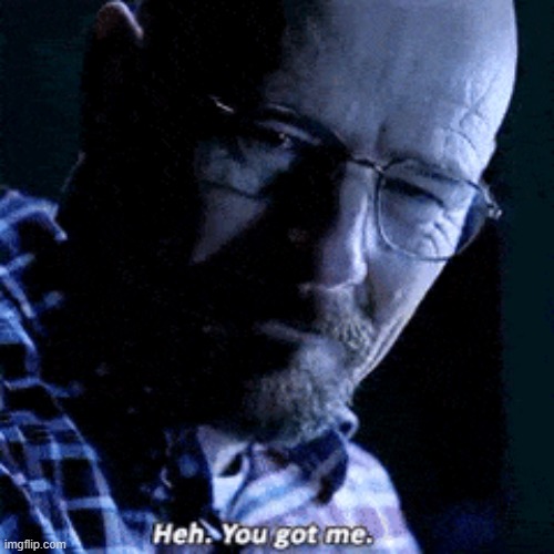 walter white "you got me" | image tagged in walter white you got me | made w/ Imgflip meme maker