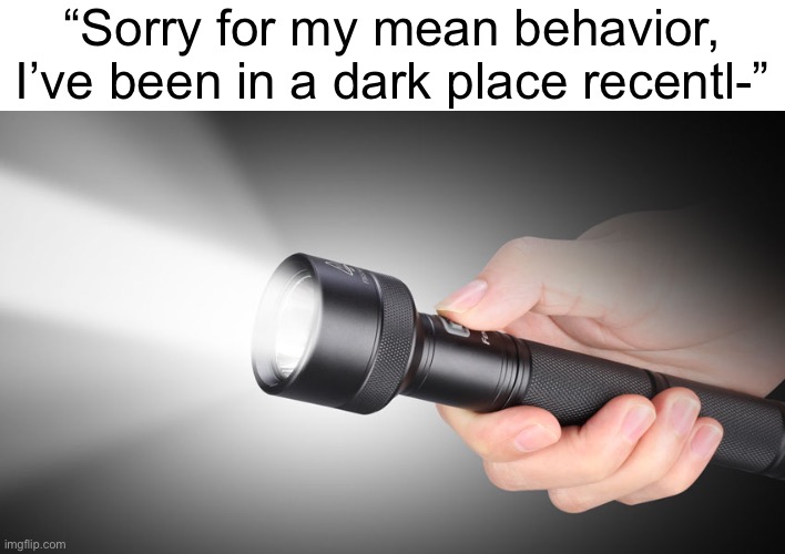 flashlight | “Sorry for my mean behavior, I’ve been in a dark place recentl-” | image tagged in flashlight | made w/ Imgflip meme maker