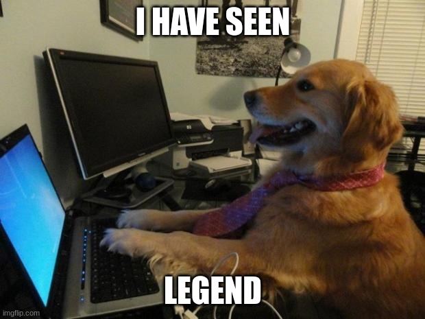 Dog behind a computer | I HAVE SEEN LEGEND | image tagged in dog behind a computer | made w/ Imgflip meme maker