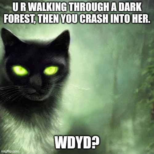 My first role play on imgflip plz don't judge me | U R WALKING THROUGH A DARK FOREST, THEN YOU CRASH INTO HER. WDYD? | image tagged in dragonz | made w/ Imgflip meme maker
