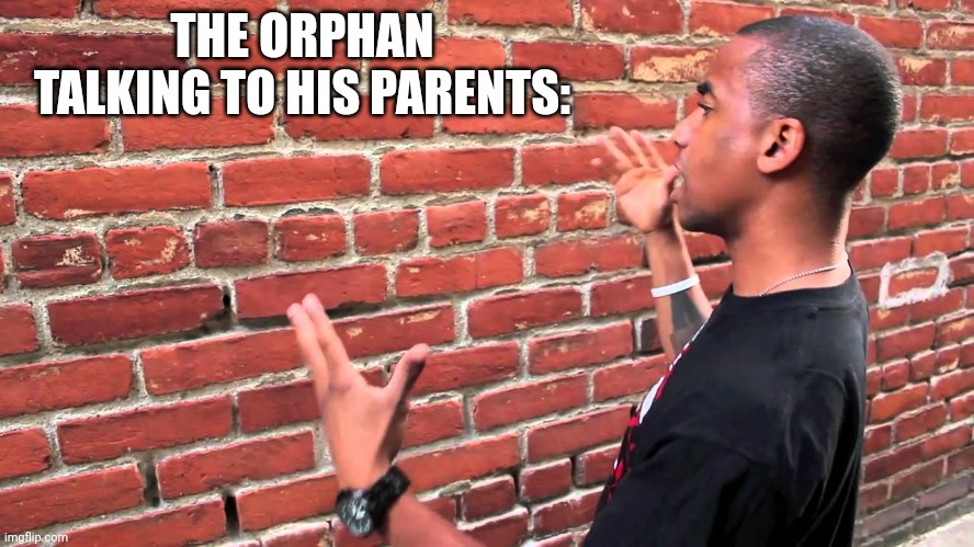 Eh | THE ORPHAN TALKING TO HIS PARENTS: | image tagged in talking to wall,dragonz | made w/ Imgflip meme maker