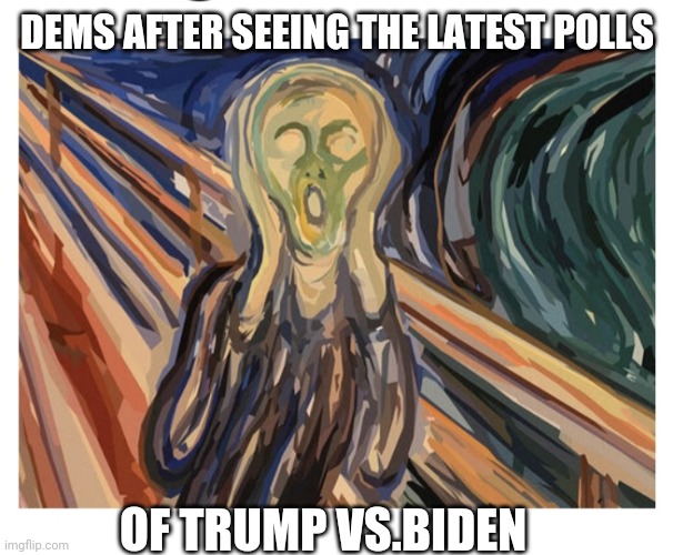 OOH NOOOOOO!! | DEMS AFTER SEEING THE LATEST POLLS; OF TRUMP VS.BIDEN | image tagged in libtards,you're fired,voting,president trump | made w/ Imgflip meme maker