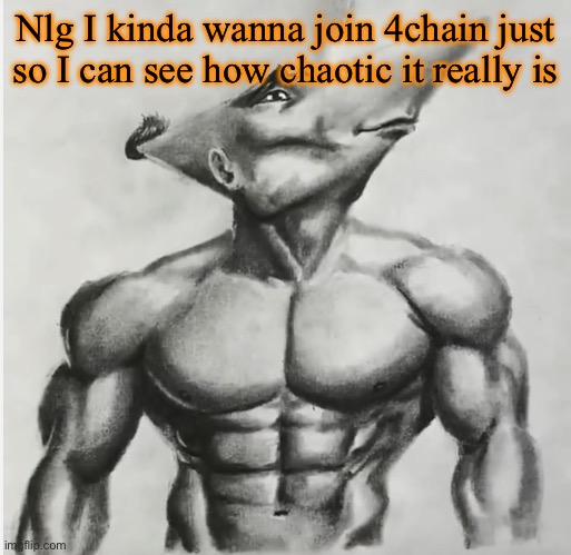 Jdj | Nlg I kinda wanna join 4chain just so I can see how chaotic it really is | image tagged in jdj | made w/ Imgflip meme maker