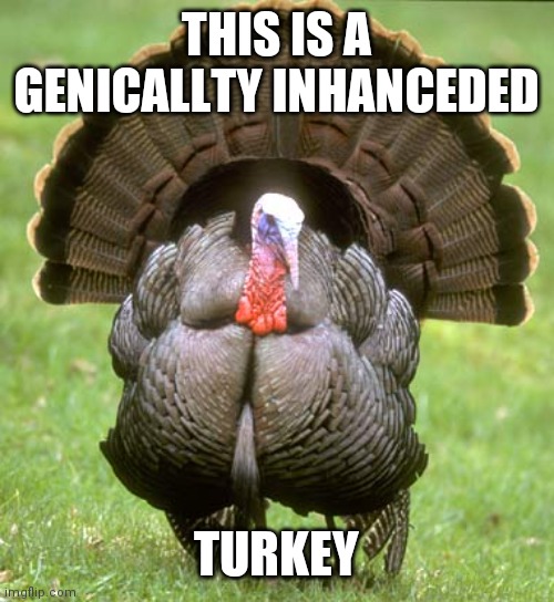 Turkey Meme | THIS IS A GENICALLTY INHANCEDED TURKEY | image tagged in memes,turkey | made w/ Imgflip meme maker