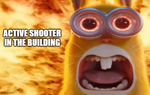minion rabbit screaming | ACTIVE SHOOTER IN THE BUILDING | image tagged in minion rabbit screaming | made w/ Imgflip meme maker