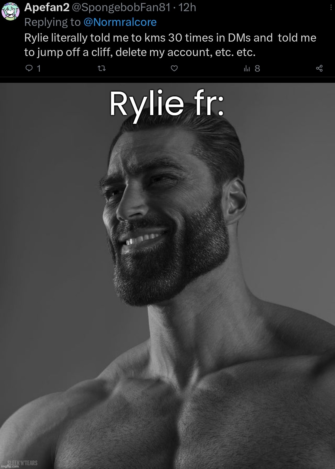 Rylie fr: | image tagged in giga chad | made w/ Imgflip meme maker