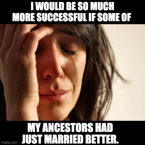 Success | I WOULD BE SO MUCH MORE SUCCESSFUL IF SOME OF; MY ANCESTORS HAD JUST MARRIED BETTER. | image tagged in memes,first world problems | made w/ Imgflip meme maker