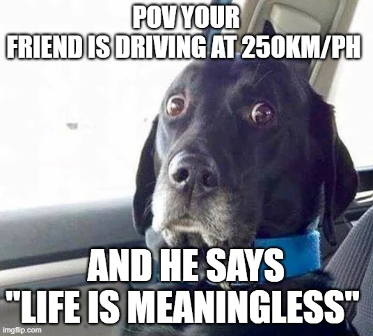 i didnt sign up for this | POV YOUR FRIEND IS DRIVING AT 250KM/PH; AND HE SAYS "LIFE IS MEANINGLESS" | image tagged in funny,dogs,scary,meme | made w/ Imgflip meme maker