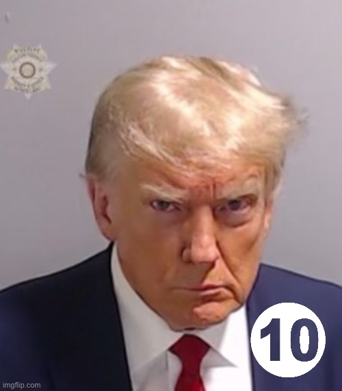 Donald Trump Mugshot | image tagged in donald trump mugshot | made w/ Imgflip meme maker