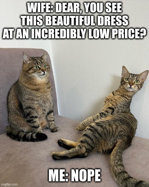 Beautiful dress at an incredibly low price | WIFE: DEAR, YOU SEE THIS BEAUTIFUL DRESS AT AN INCREDIBLY LOW PRICE? ME: NOPE | image tagged in stepan the cat from ukraine,cat,shopping,nope,wife,husband | made w/ Imgflip meme maker