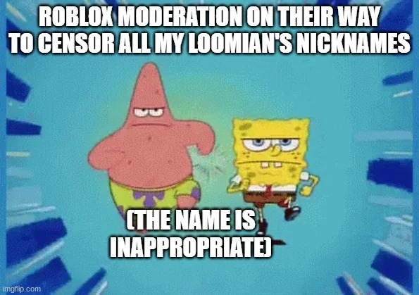 im trying to name my loomian something funny AND YOU SAY ITS INAPROPIATE!!??? | image tagged in bruh,loomian legacy | made w/ Imgflip meme maker