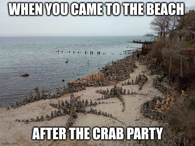 After the crab party | WHEN YOU CAME TO THE BEACH; AFTER THE CRAB PARTY | image tagged in ukraine magical beach place | made w/ Imgflip meme maker