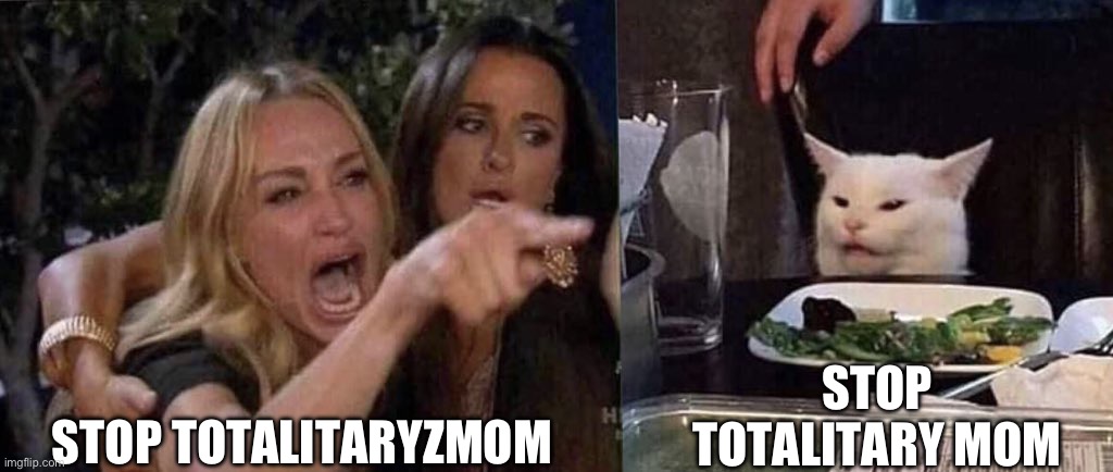 woman yelling at cat | STOP TOTALITARYZMOM STOP TOTALITARY MOM | image tagged in woman yelling at cat | made w/ Imgflip meme maker