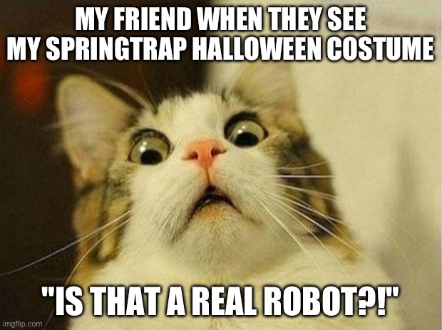 Halloween spreads | MY FRIEND WHEN THEY SEE MY SPRINGTRAP HALLOWEEN COSTUME; "IS THAT A REAL ROBOT?!" | image tagged in memes,scared cat | made w/ Imgflip meme maker
