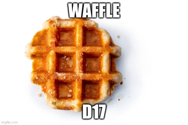 waffle | WAFFLE; D17 | image tagged in waffles | made w/ Imgflip meme maker