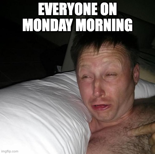 I hate Monday | EVERYONE ON MONDAY MORNING | image tagged in limmy waking up | made w/ Imgflip meme maker
