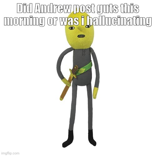 lemongrab plush | Did Andrew post guts this morning or was i hallucinating | image tagged in lemongrab plush | made w/ Imgflip meme maker